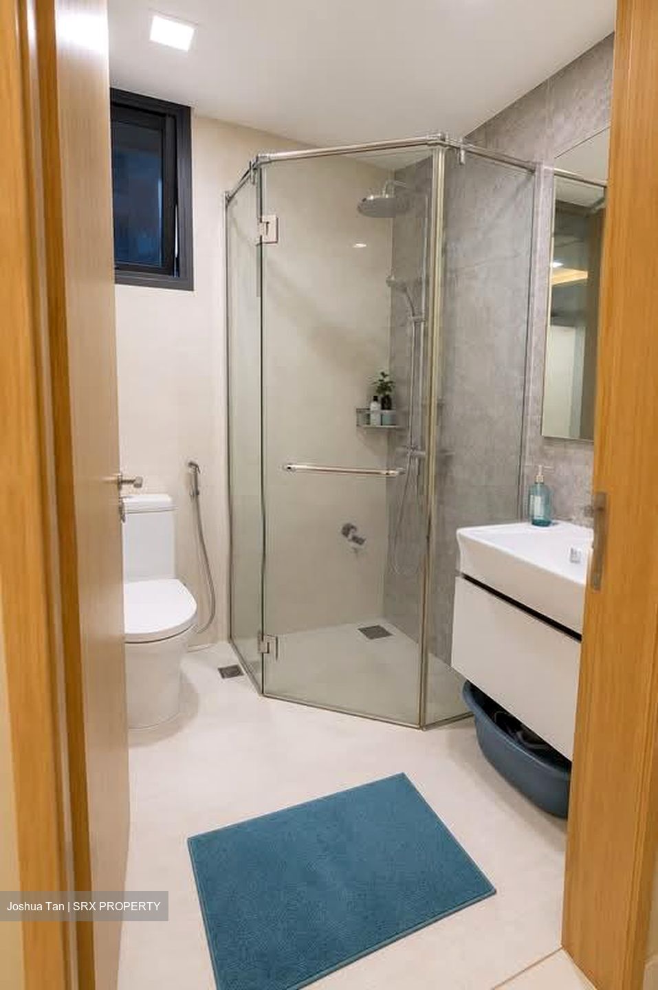 La Fiesta (D19), Condominium #575262611